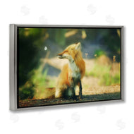 Carrie Ann Grippo-Pike | Fox Kit and Butterfly