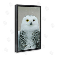 Carrie Ann Grippo-Pike | Snowy Owl Portrait
