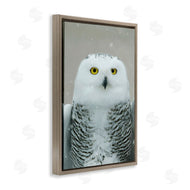 Carrie Ann Grippo-Pike | Snowy Owl Portrait