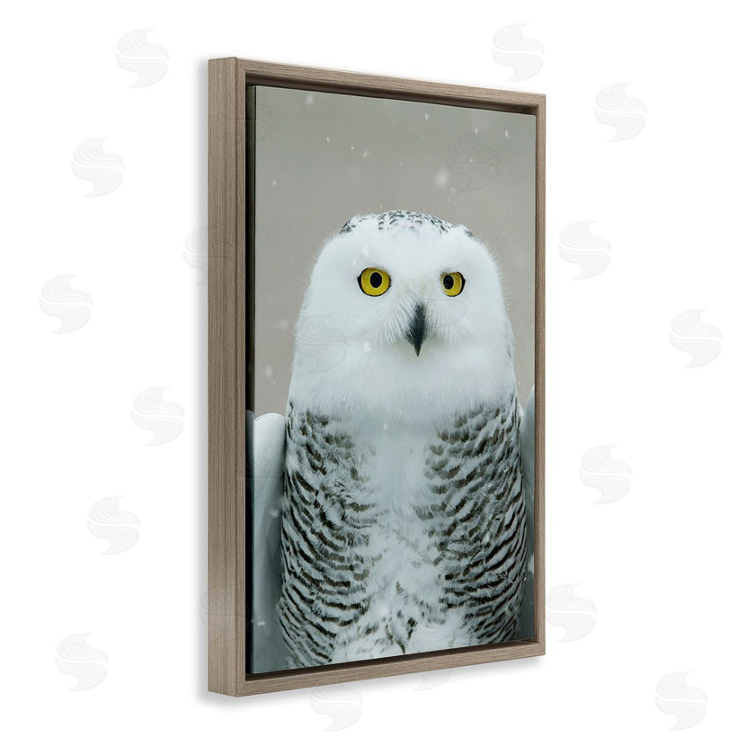 Carrie Ann Grippo-Pike | Snowy Owl Portrait
