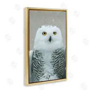 Carrie Ann Grippo-Pike | Snowy Owl Portrait