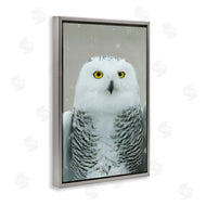 Carrie Ann Grippo-Pike | Snowy Owl Portrait