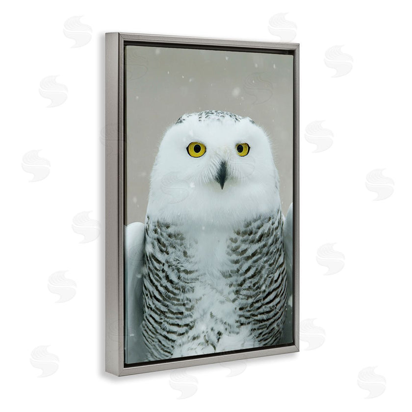 Carrie Ann Grippo-Pike | Snowy Owl Portrait