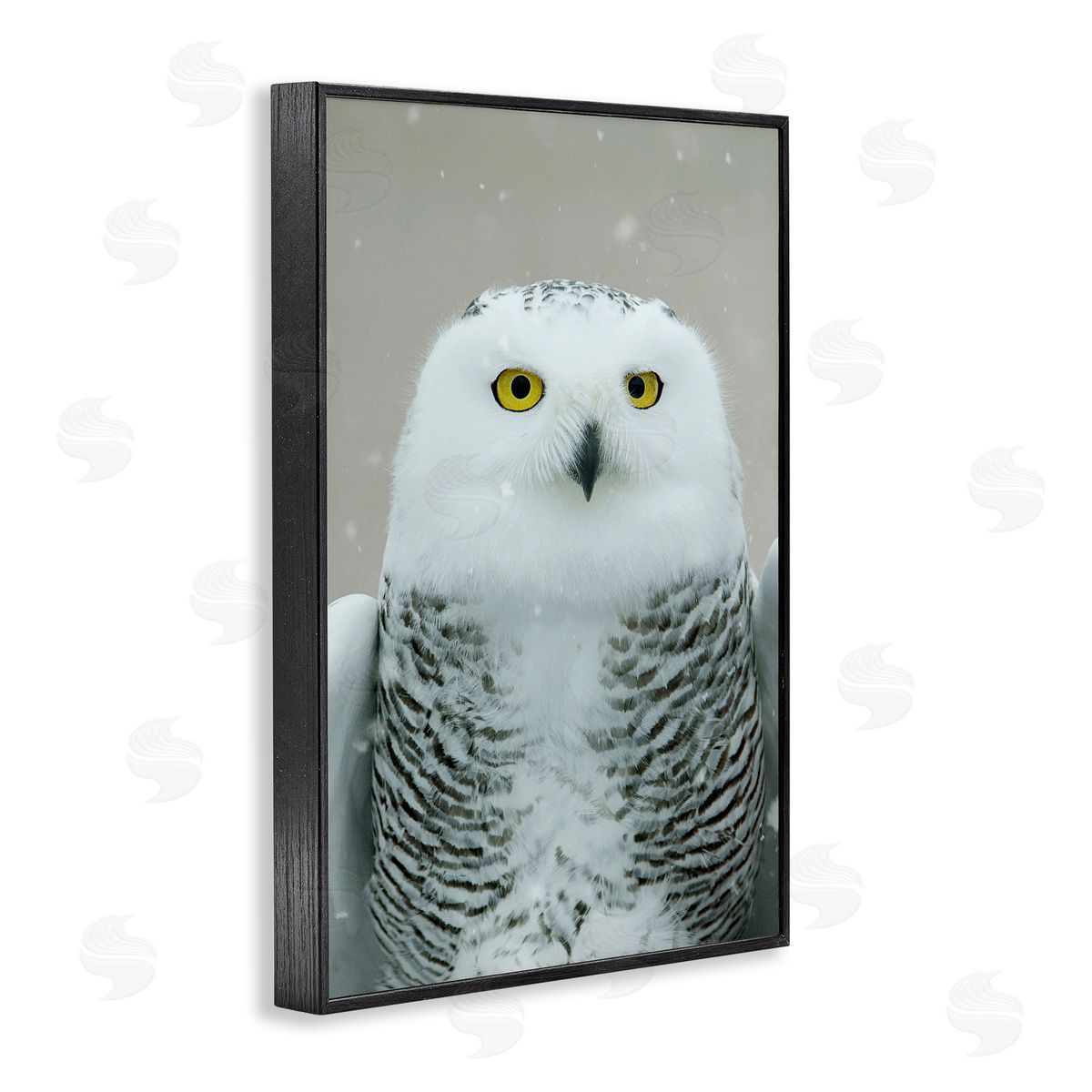 Snowy Owl Portrait Black Frame Print Wall Art, Home Decor by Carrie Ann Grippo-Pike