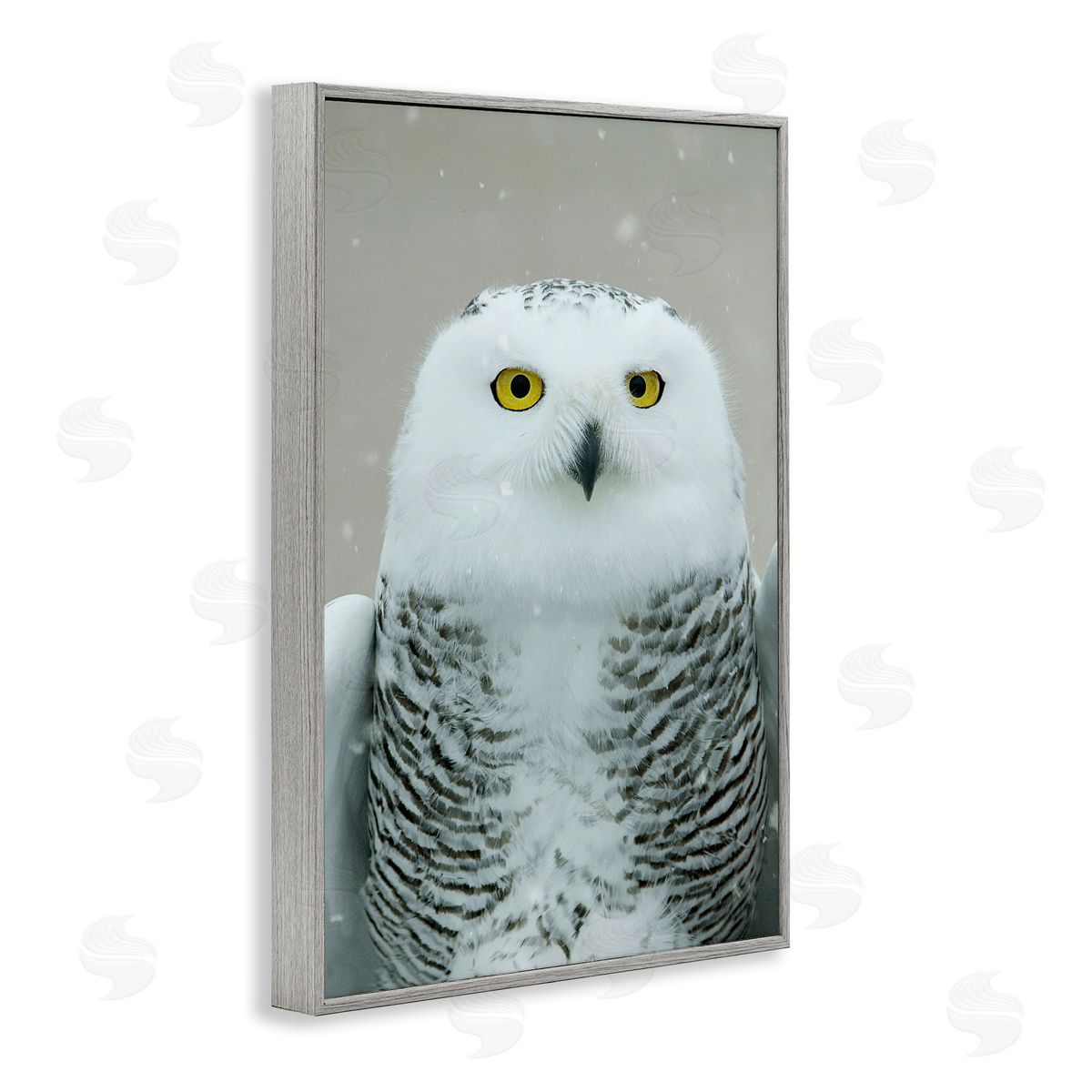 Snowy Owl Portrait Grey Frame Print Wall Art, Home Decor by Carrie Ann Grippo-Pike