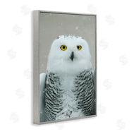 Carrie Ann Grippo-Pike | Snowy Owl Portrait