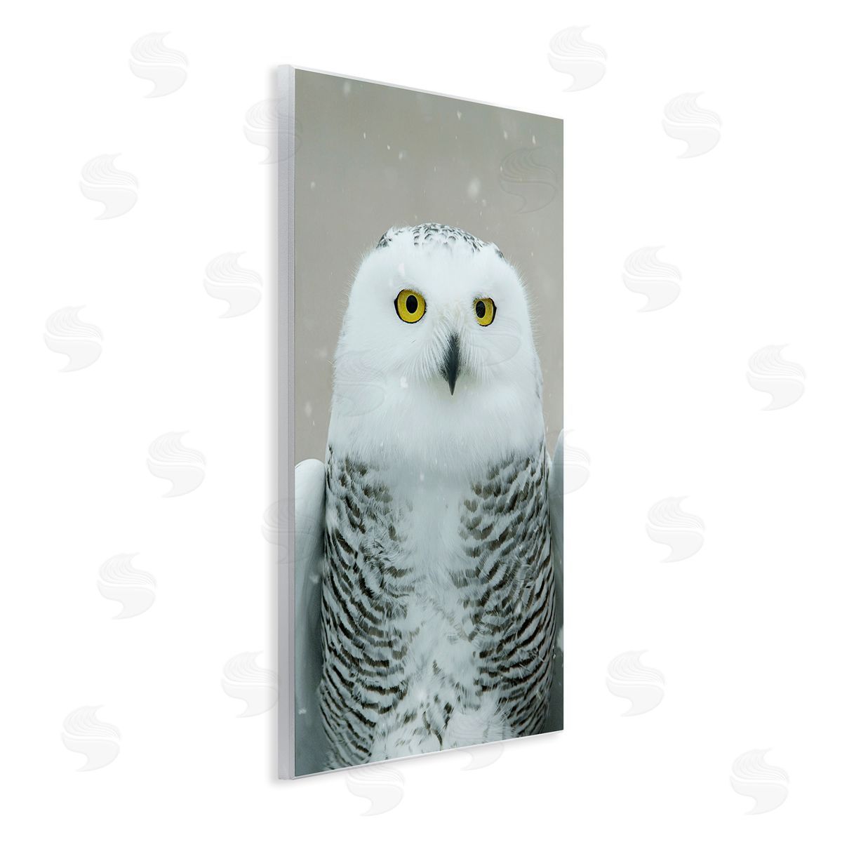Snowy Owl Portrait Wood Plaque Wall Art, Home Decor by Carrie Ann Grippo-Pike