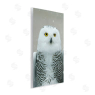 Carrie Ann Grippo-Pike | Snowy Owl Portrait