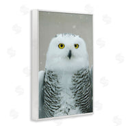 Carrie Ann Grippo-Pike | Snowy Owl Portrait