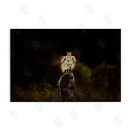 Carrie Ann Grippo-Pike | Crowned Owl Perched