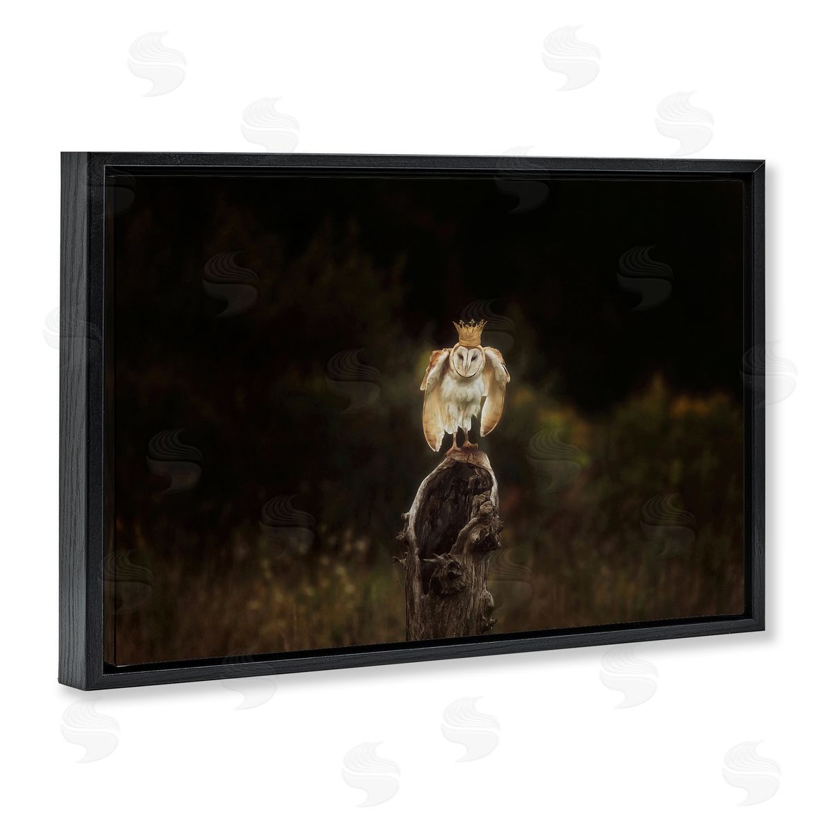 Crowned Owl Perched Black Floating Frame Canvas Wall Art, Home Decor by Carrie Ann Grippo-Pike