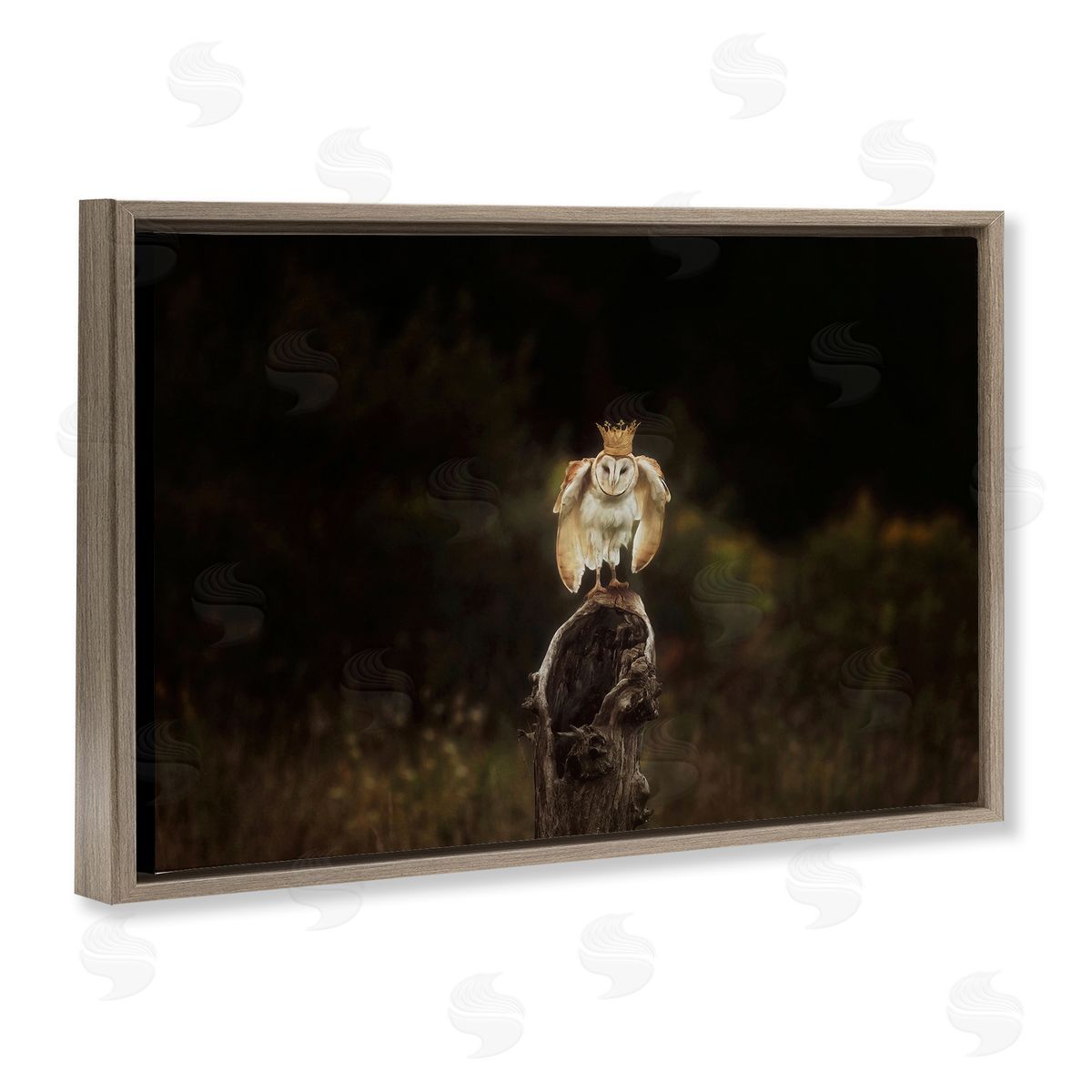 Crowned Owl Perched Brown Floating Frame Canvas Wall Art, Home Decor by Carrie Ann Grippo-Pike