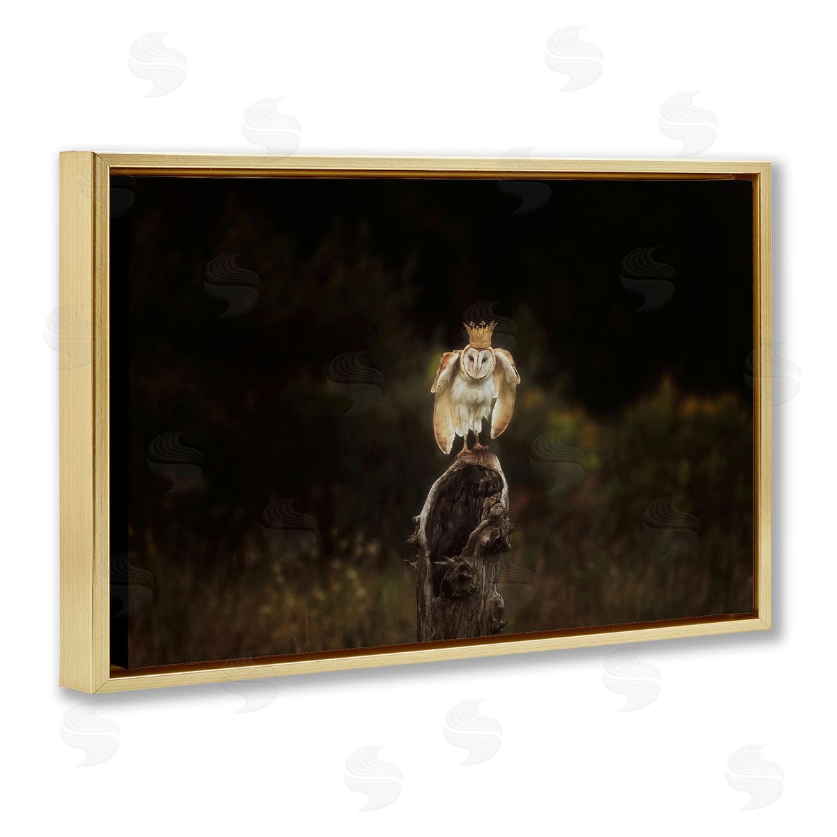 Crowned Owl Perched Gold Floating Frame Canvas Wall Art, Home Decor by Carrie Ann Grippo-Pike