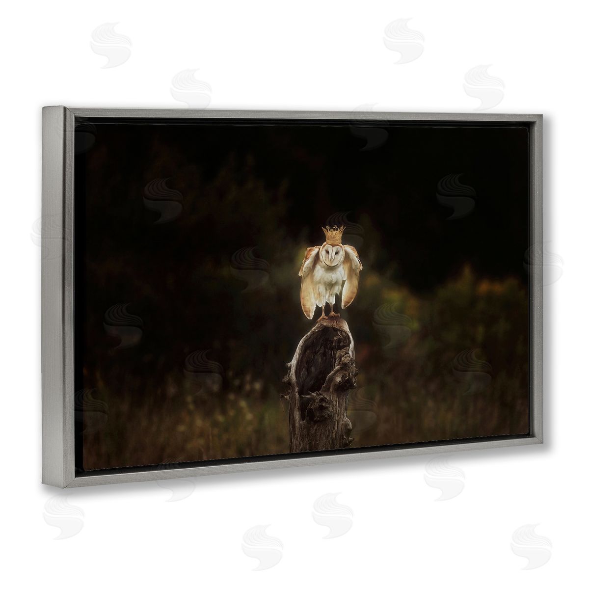 Crowned Owl Perched Grey Floating Frame Canvas Wall Art, Home Decor by Carrie Ann Grippo-Pike