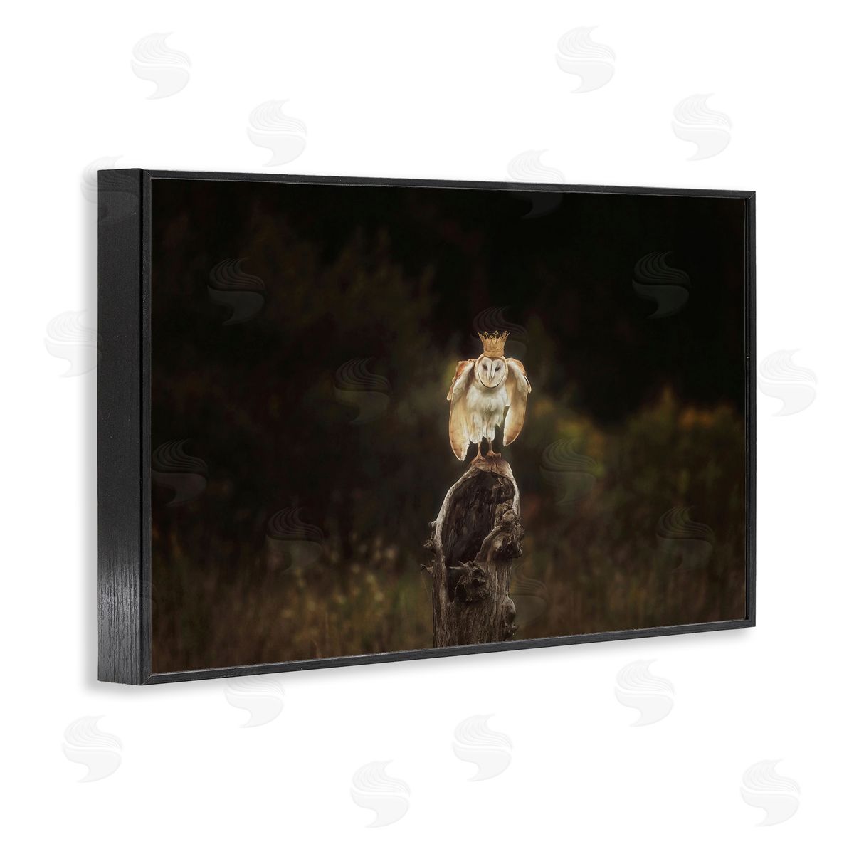 Crowned Owl Perched Black Frame Print Wall Art, Home Decor by Carrie Ann Grippo-Pike