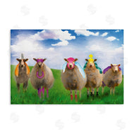 Porter Hastings | Superhero Sheep in Field
