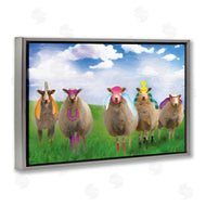 Porter Hastings | Superhero Sheep in Field