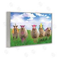 Porter Hastings | Superhero Sheep in Field