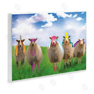Porter Hastings | Superhero Sheep in Field