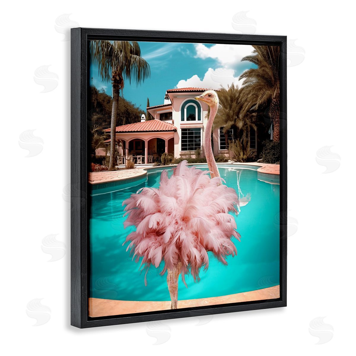 Pink Feathered Ostrich Black Floating Frame Canvas Wall Art, Home Decor by Ziwei Li