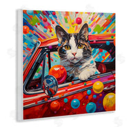 Ivan Guaderrama | Driving Cat with Bold Pattern