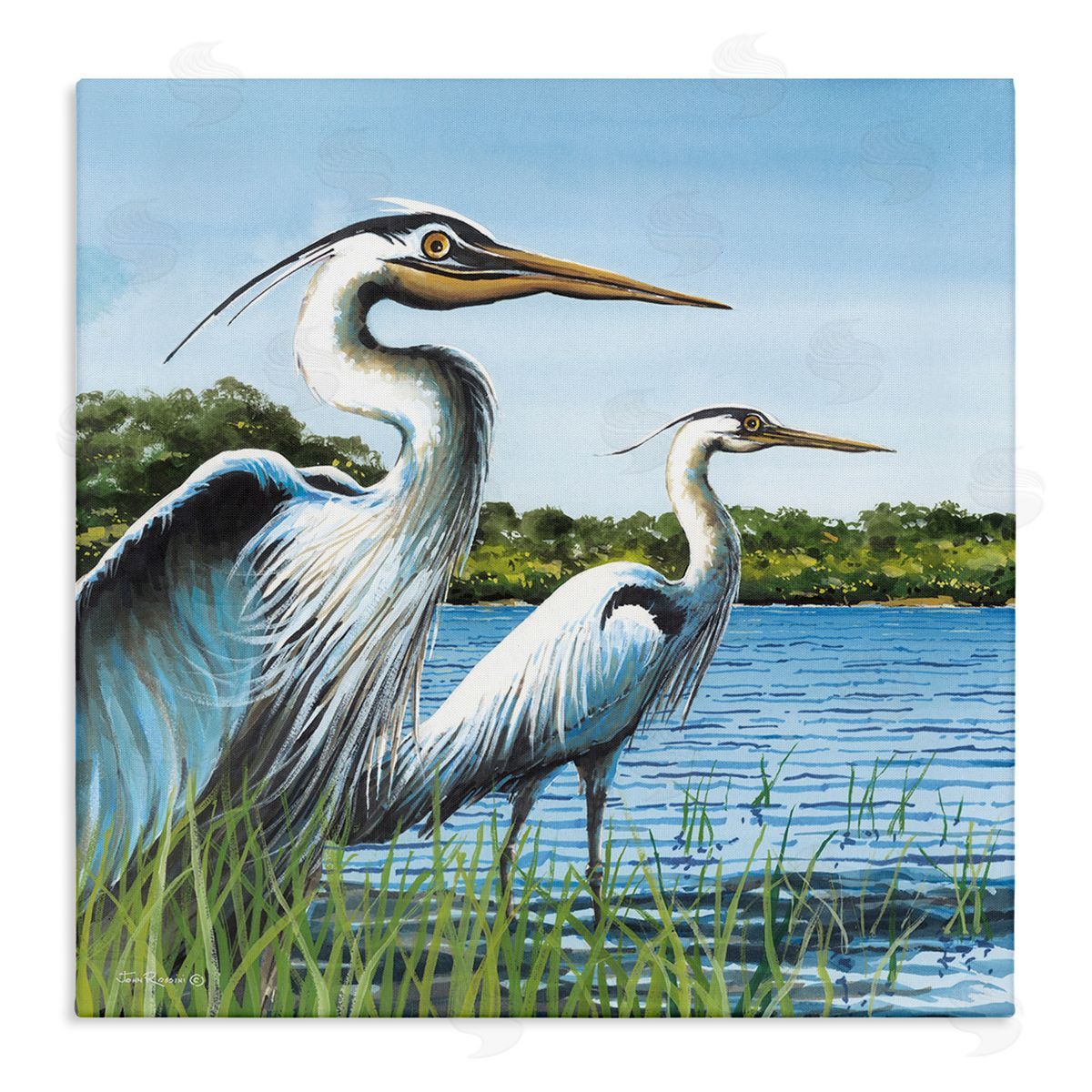 Traditional Egrets Gazing Canvas Wall Art, Home Decor by John Rossini