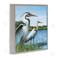 John Rossini | Traditional Egrets Gazing