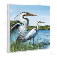 John Rossini | Traditional Egrets Gazing