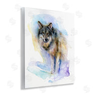 John Keeling | Watercolor Wolf in Snow