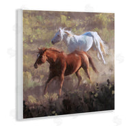 Nina Blue | Brown and White Wild Horses