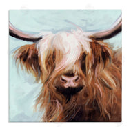 Nina Blue | Long Haired Cattle Portrait