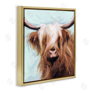 Nina Blue | Long Haired Cattle Portrait