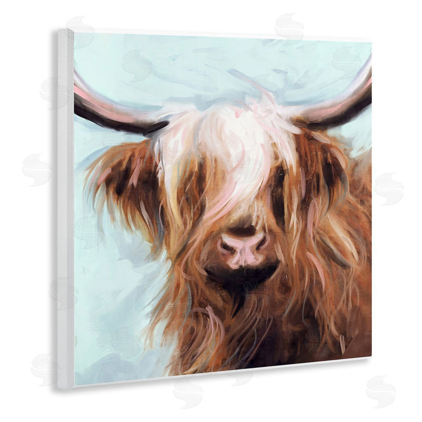 Nina Blue | Long Haired Cattle Portrait