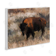 Nina Blue | Traditional Bison Range