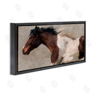 Nina Blue | Brown and White Horse
