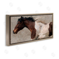 Nina Blue | Brown and White Horse