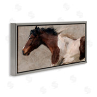 Nina Blue | Brown and White Horse