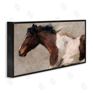 Nina Blue | Brown and White Horse