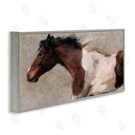 Nina Blue | Brown and White Horse