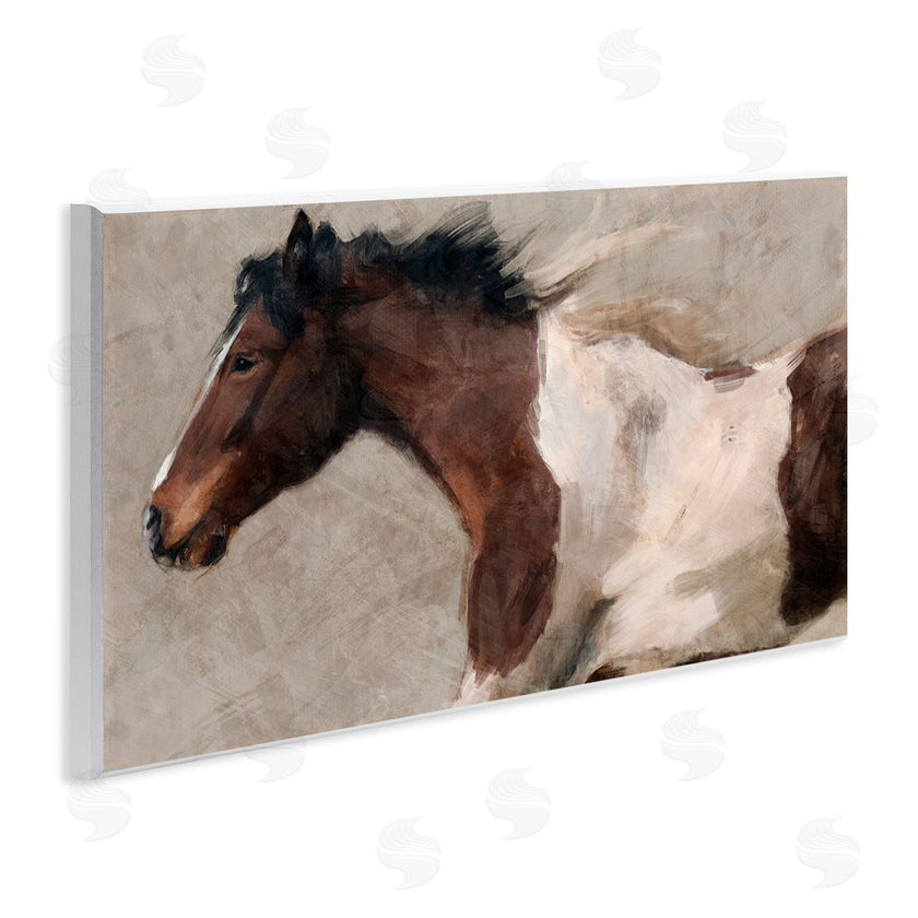 Nina Blue | Brown and White Horse