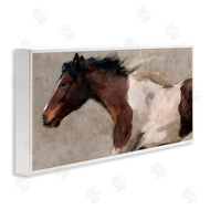 Nina Blue | Brown and White Horse