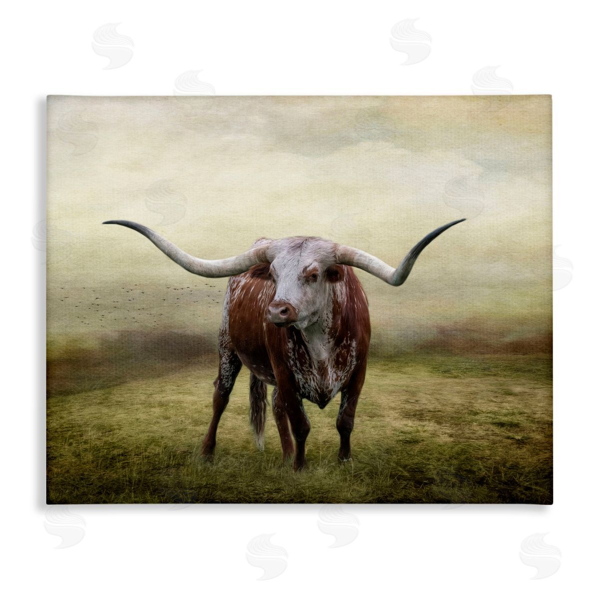 Pride Of The Longhorn Canvas Wall Art, Home Decor by Kelley Parker