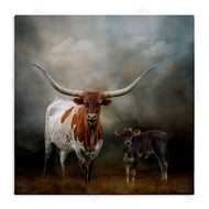 Kelley Parker | Longhorn and Calf Babysitter