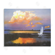 D. Rust | Egret Over Cloudy Reflection