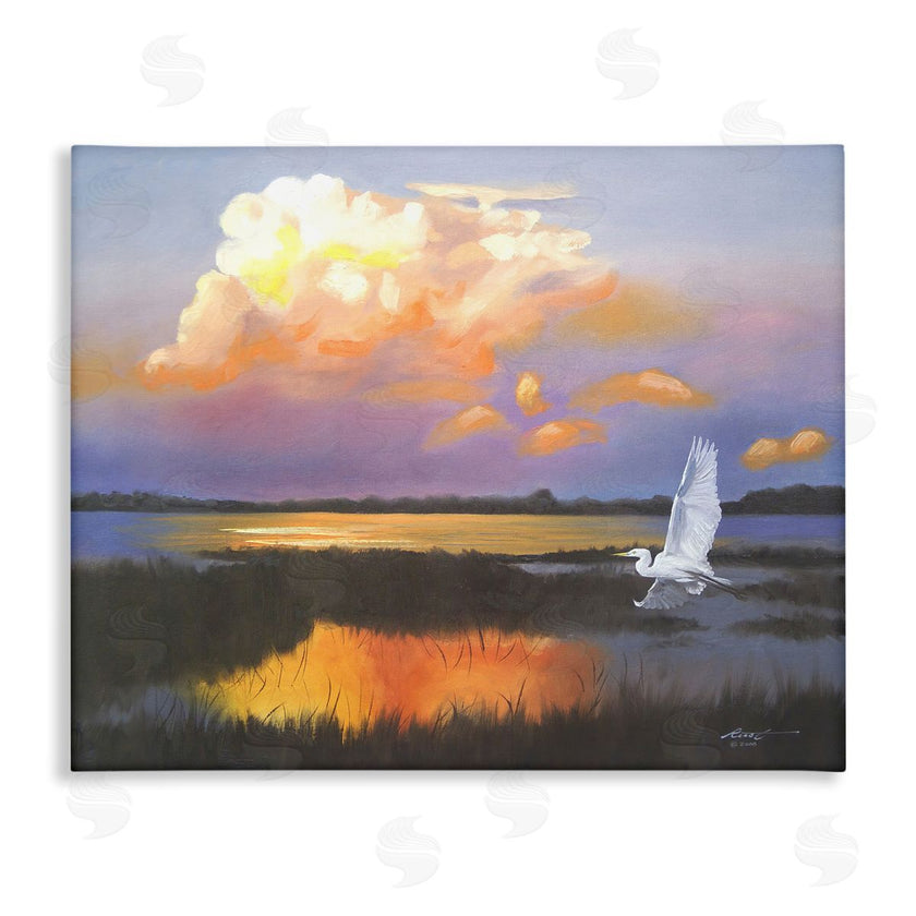 D. Rust | Egret Over Cloudy Reflection