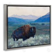 David Graham | Bison and Country Mountains
