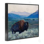 David Graham | Bison and Country Mountains