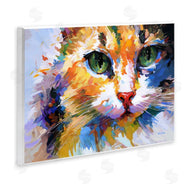 Leon Devenice | Manx Cat Gaze