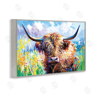Leon Devenice | Long Haired Highland Cattle