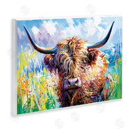 Leon Devenice | Long Haired Highland Cattle